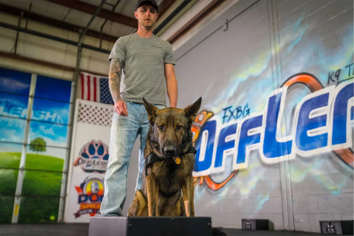 Off Leash K9 Fredericksburg trainer with a German Shepherd at the training facility